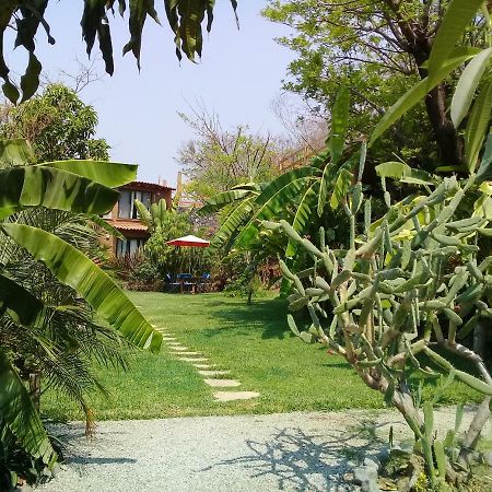 فندق تيبوزتلانفي  Cabanas El Nido De La Huilota المظهر الخارجي الصورة